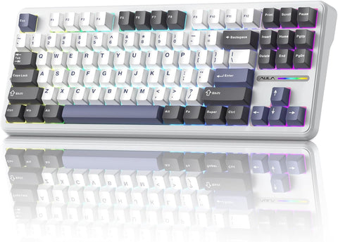 Wireless Mechanical Keyboard (Wireless)