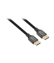 DisplayPort Cable (2024 Model)