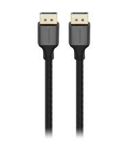 DisplayPort Cable (2024 Model)